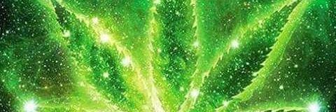 feli123lipe's profile banner image