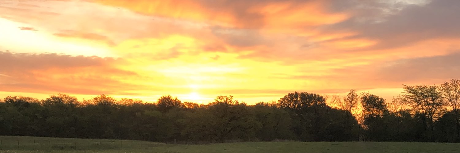 rervin09's profile banner image