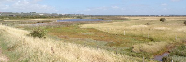 ekaroune Profile Banner