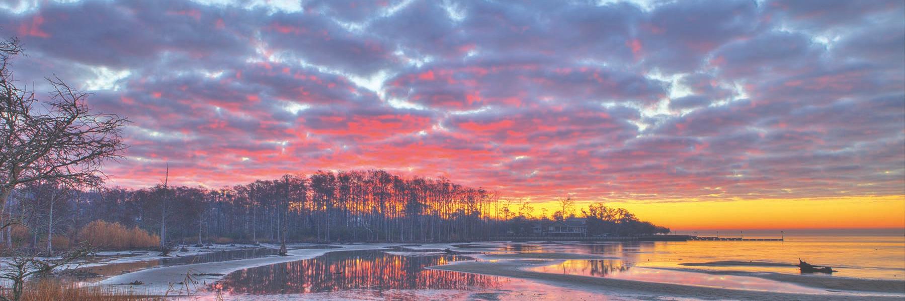 northshorecomm's profile banner image