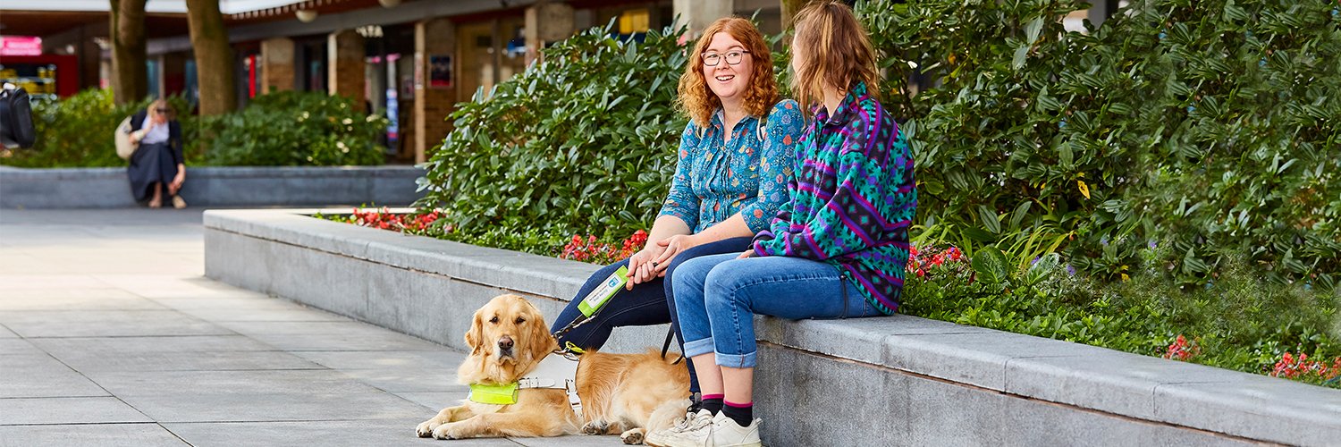 Guide Dogs NI banner