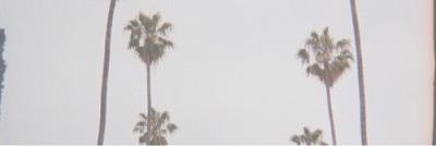 MoaninForMendes's profile banner image