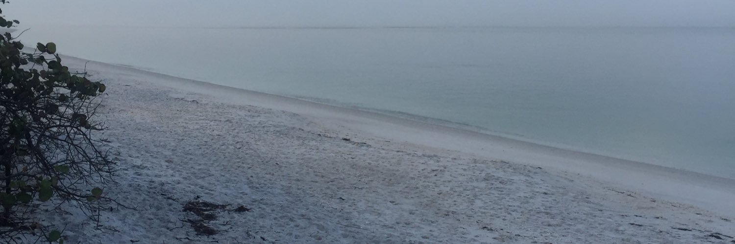 srs1976's profile banner image