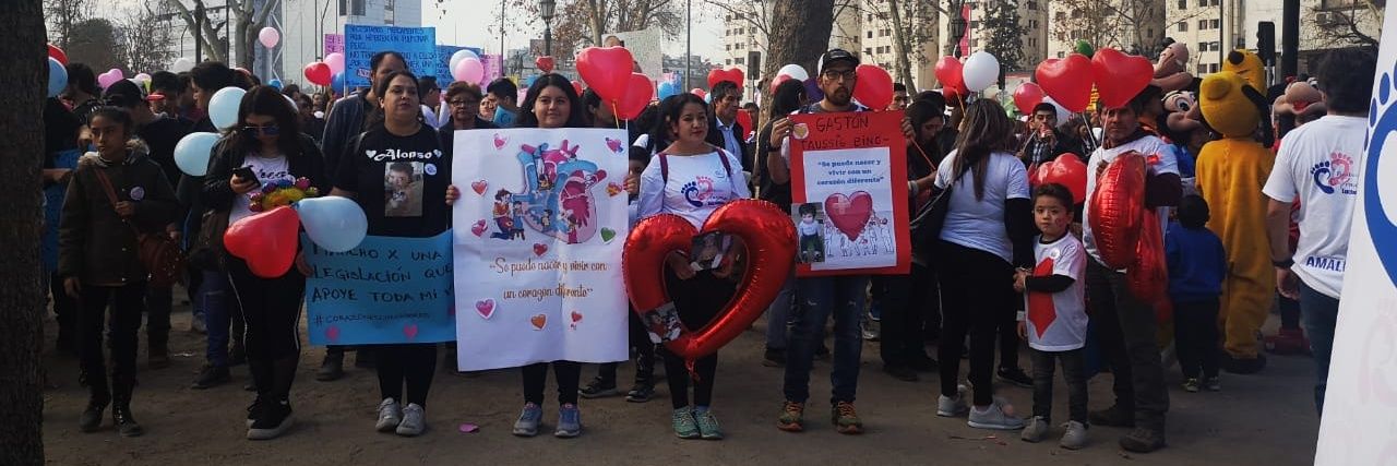 Corazones Luchadores banner