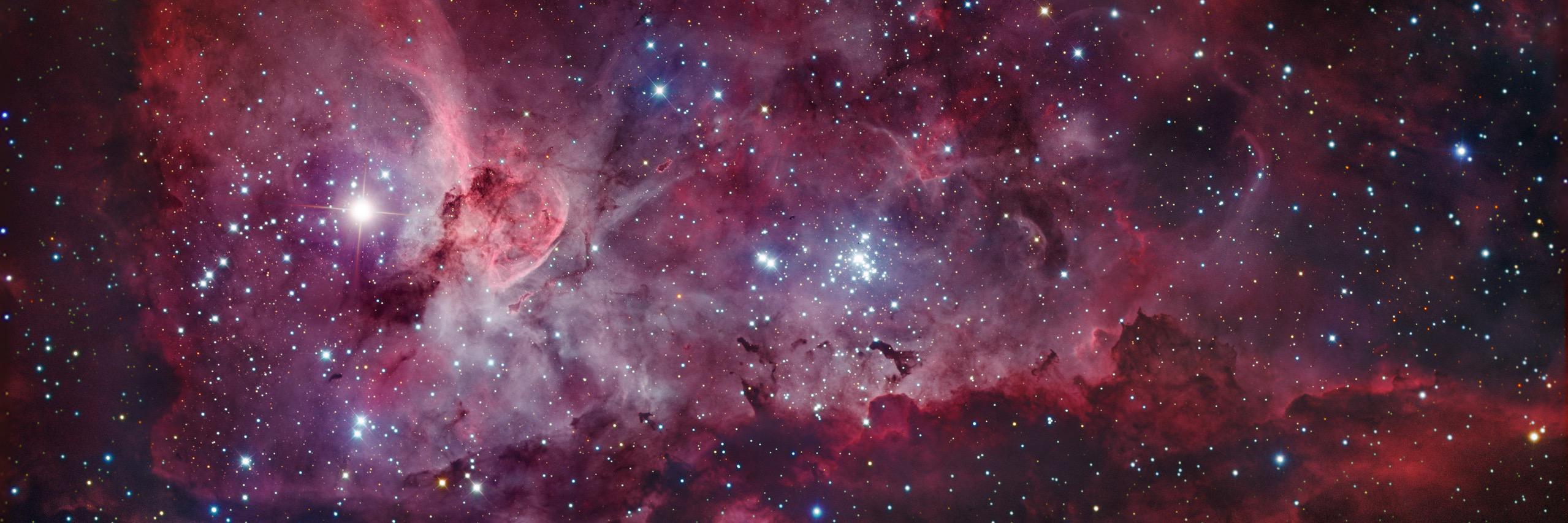 Embryology Education banner