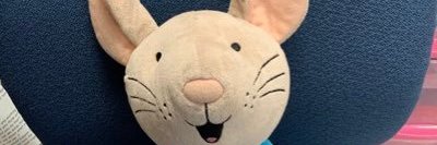 mrsansalone's profile banner image
