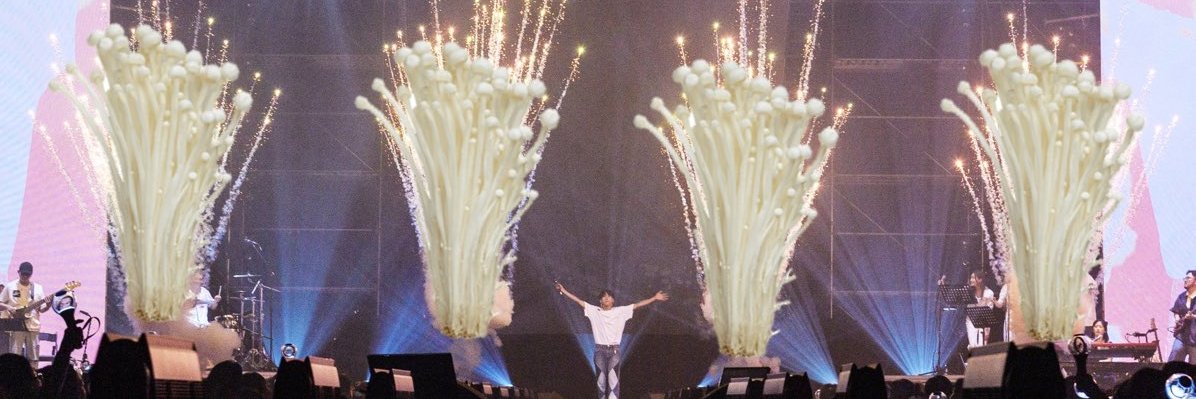 bao_discopool's profile banner image