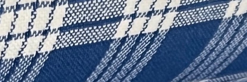 808Aloha_Palaka's profile banner image