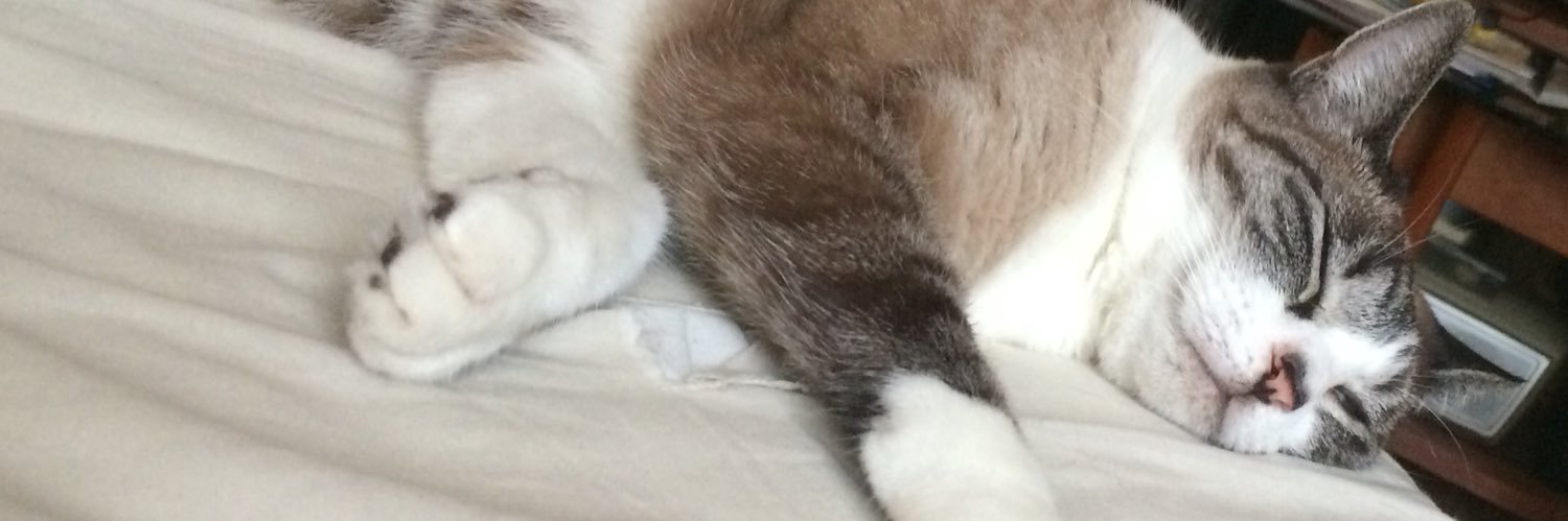 keloriene's profile banner image