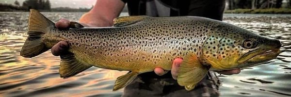 MitchyyD Profile Banner