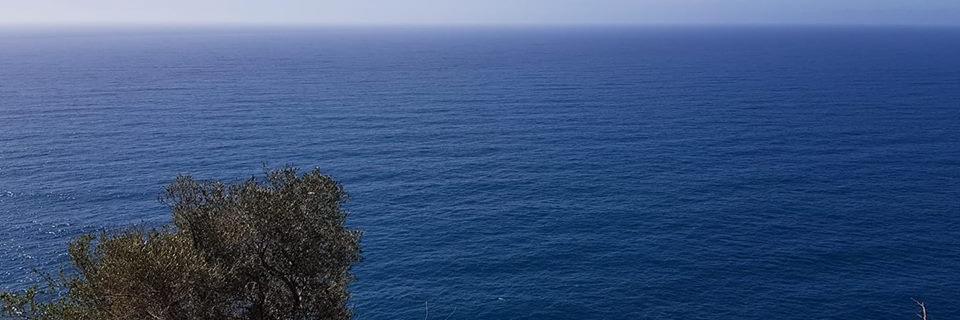 angionec's profile banner image