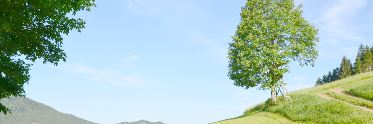 FruitYourWorld banner