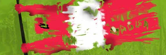 DemocracyOS_PE's profile banner image