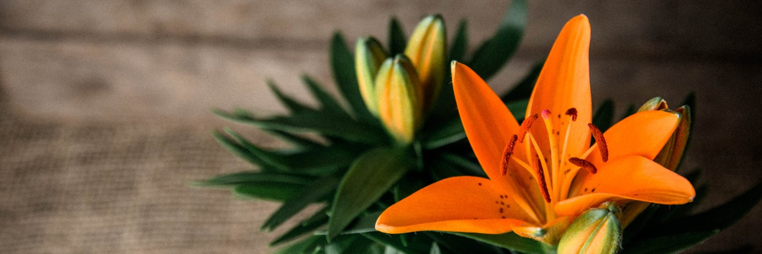 BaltimoreValley's profile banner image