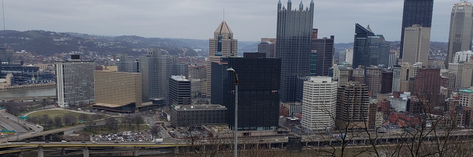 timmy_forrest's profile banner image