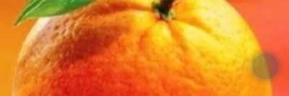omollo_gabriel's profile banner image