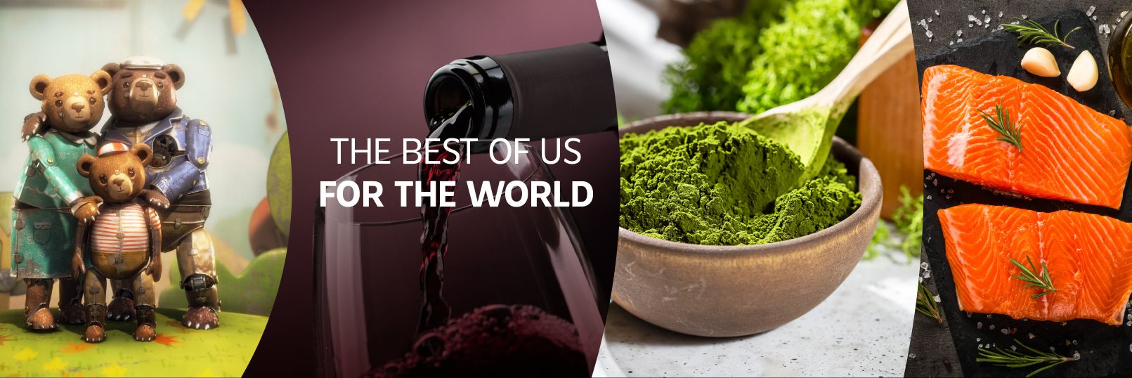 ProChile Canada banner