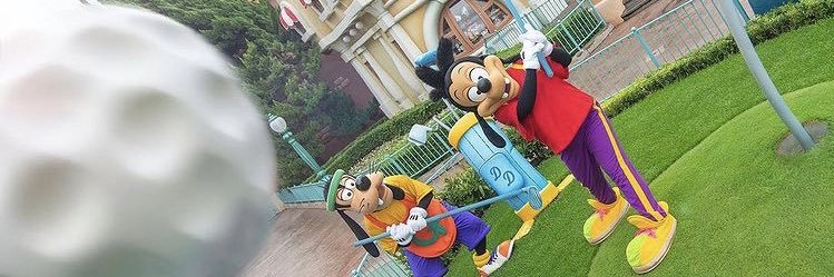 peco_fox's profile banner image