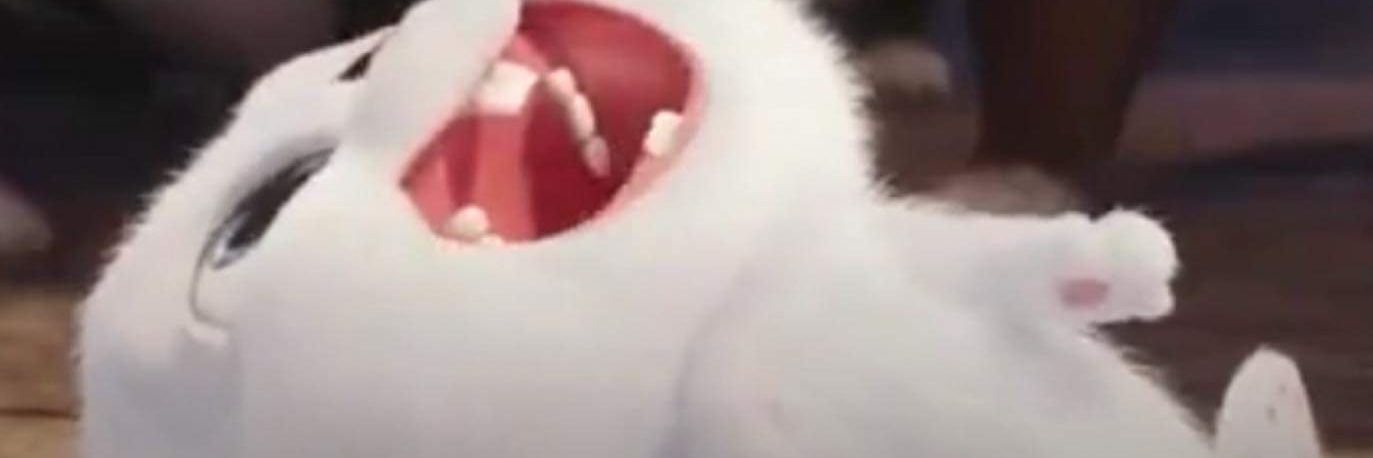 lullul126's profile banner image