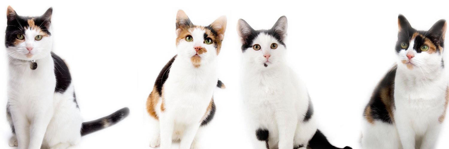 Outflow 🏴󠁧󠁢󠁳󠁣󠁴󠁿 banner