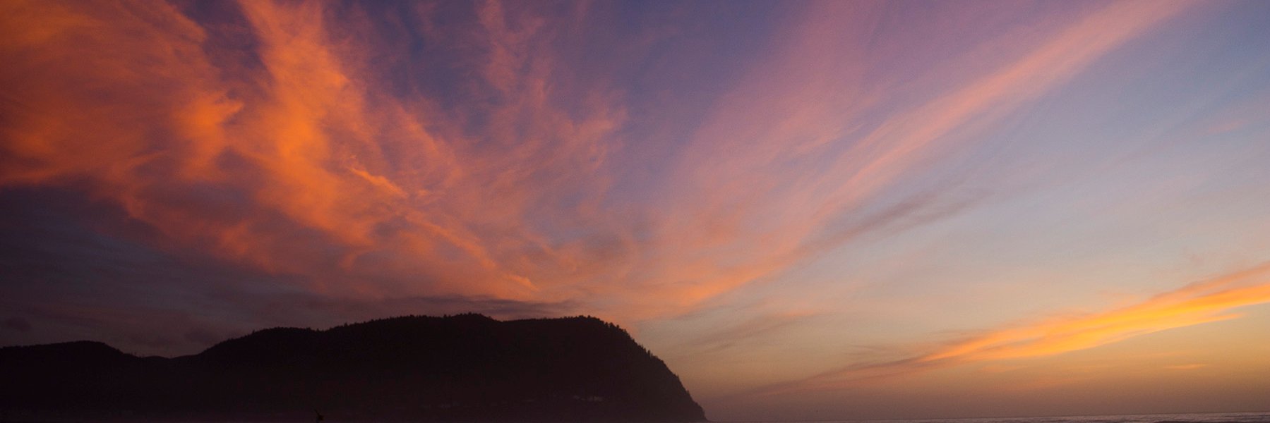 Linnea Huxford banner