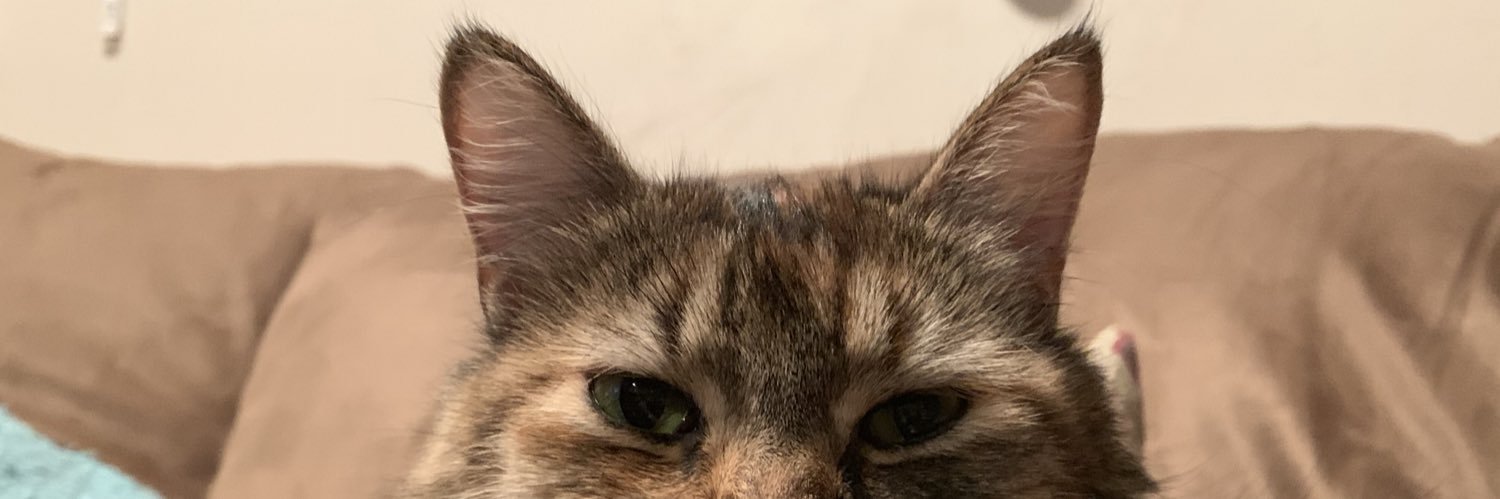 MammaSweetT's profile banner image