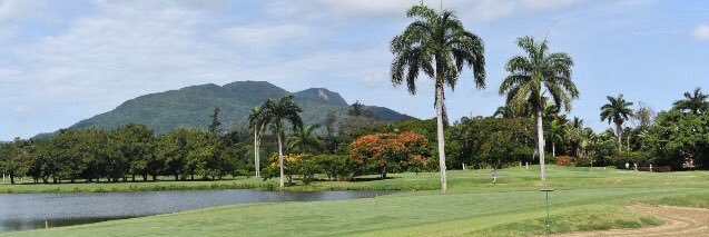 Ginette Bournigal banner