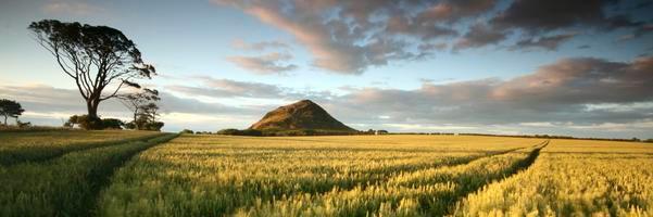 OldAberlady's profile banner image