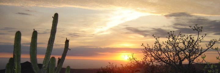 IlseMor9's profile banner image