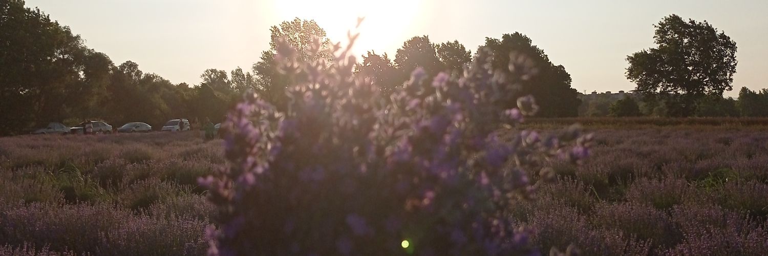 Kaader🌵 banner