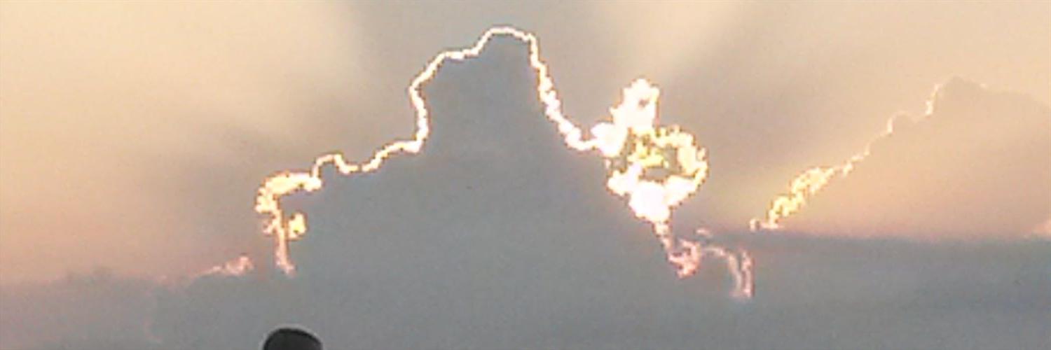 Erkan Gül banner