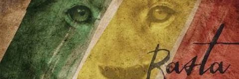 _poxarasta's profile banner image