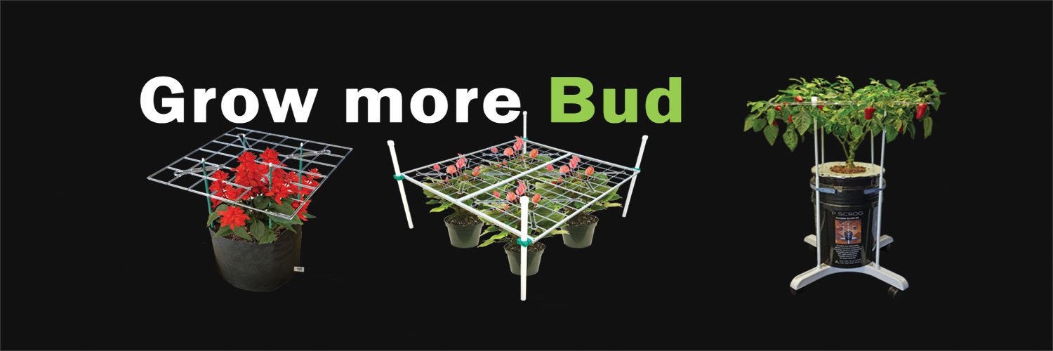 P_SCROG's profile banner image