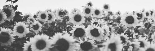 mon9ica's profile banner image