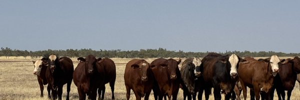 rick_mayor Profile Banner