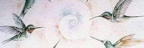 chiolrs's profile banner image