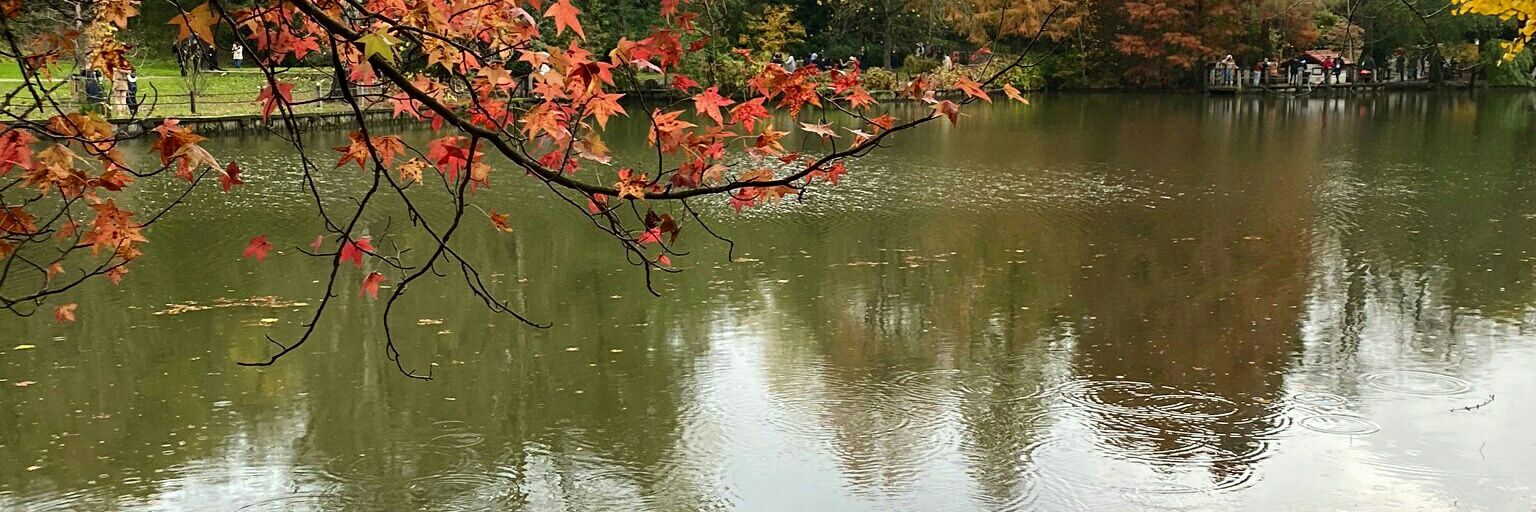 mucadil_72's profile banner image