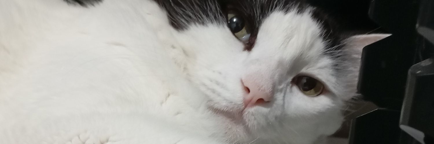 atiulia's profile banner image