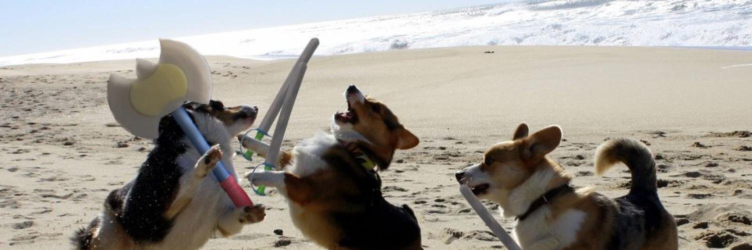 CooTweetBro's profile banner image