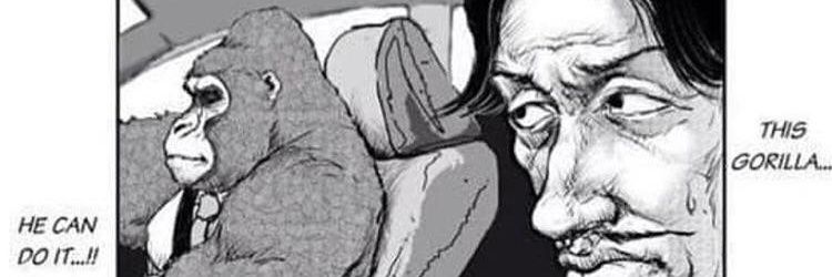 PSaiffly's profile banner image
