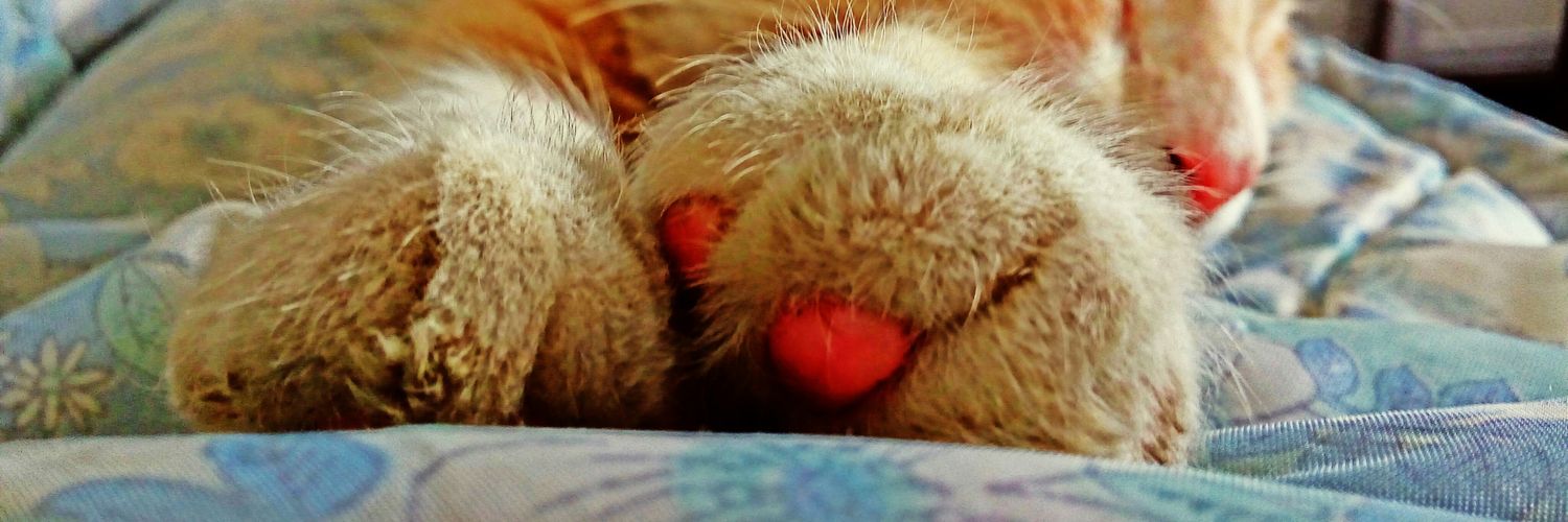 luuelissalde's profile banner image