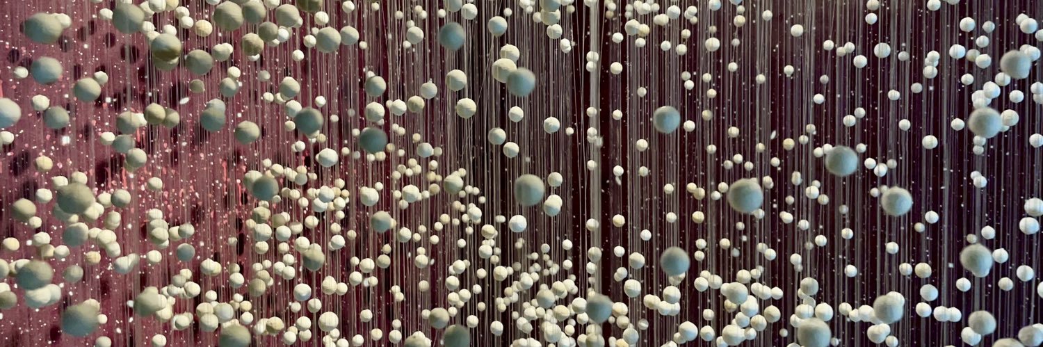 Paul mastodon.social/@AtorElabor banner