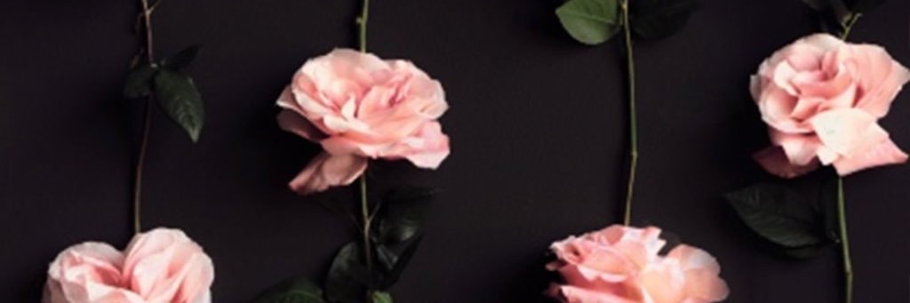 halinlinto's profile banner image