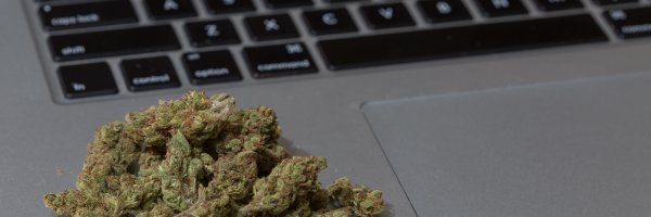 MarijuanaMoment Profile Banner