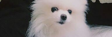 ErickaCious's profile banner image
