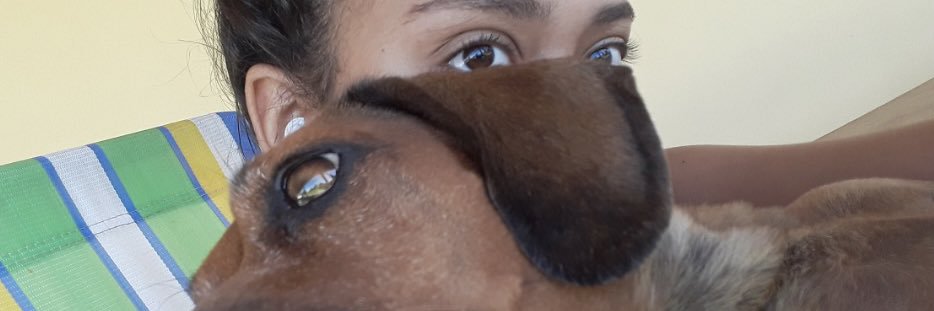 cecilia_barcel's profile banner image