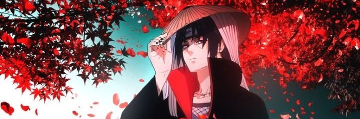 Miss_Floral's profile banner image