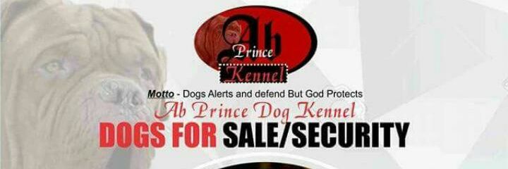 AbprinceKennel's profile banner image
