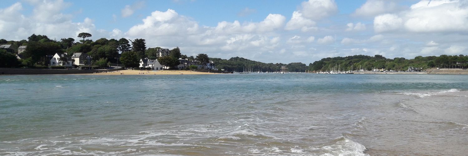 Lefebvre Daniel banner