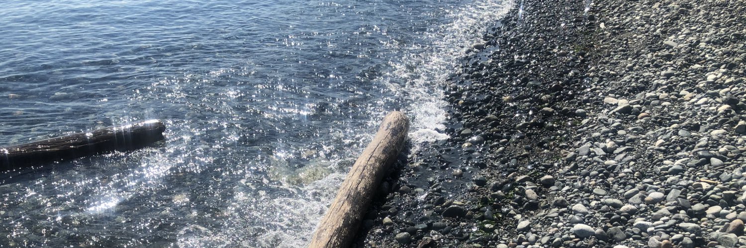 Olivier Salvas banner